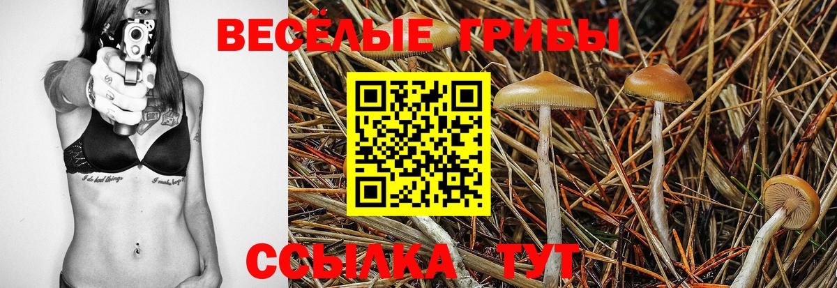 Псилоцибиновые грибы MAGIC MUSHROOMS  Вход с VPN  Галлюциногенные грибы Magic Shrooms  Гатчина 